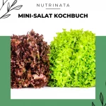 eBook Mini Salatkochbuch